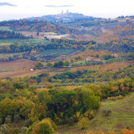 Apartment With Large Garden And Pool On The Hills Of Pisa