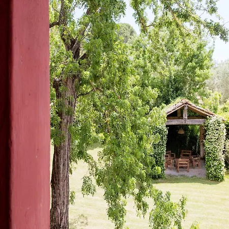 Apartment With Large Garden And Pool On The Hills Of Pisa *
