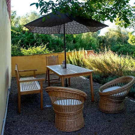Apartment With Large Garden And Pool On The Hills Of Pisa *