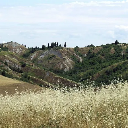 Apartment With Large Garden And Pool On The Hills Of Pisa